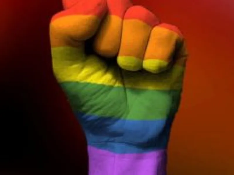 Movimiento de Integración y Liberación Homosexual MOVILH — Organizations in Santiago