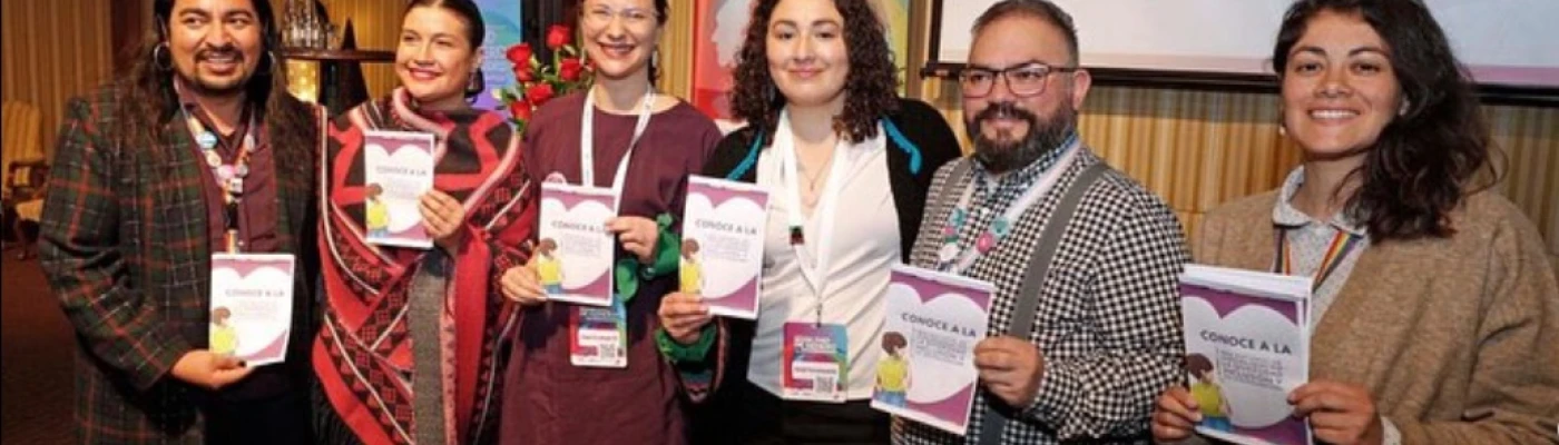 Red Nacional de Municipalidades por la Diversidad, Inclusión y No Discriminación — Organizations in Santiago