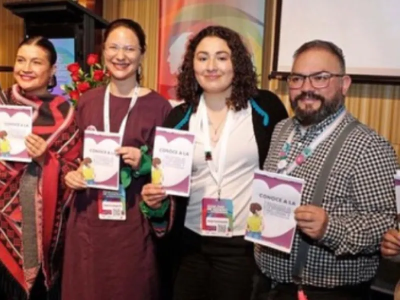 Red Nacional de Municipalidades por la Diversidad, Inclusión y No Discriminación — Organizations in Santiago
