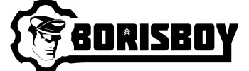 Cover image for Boris Boy