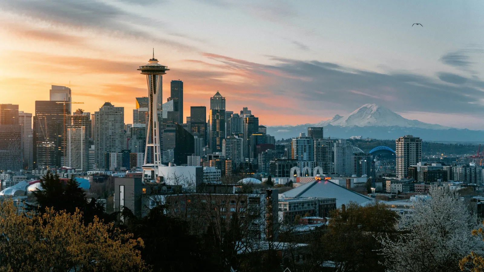 Gay Things to do in Seattle — cover photo