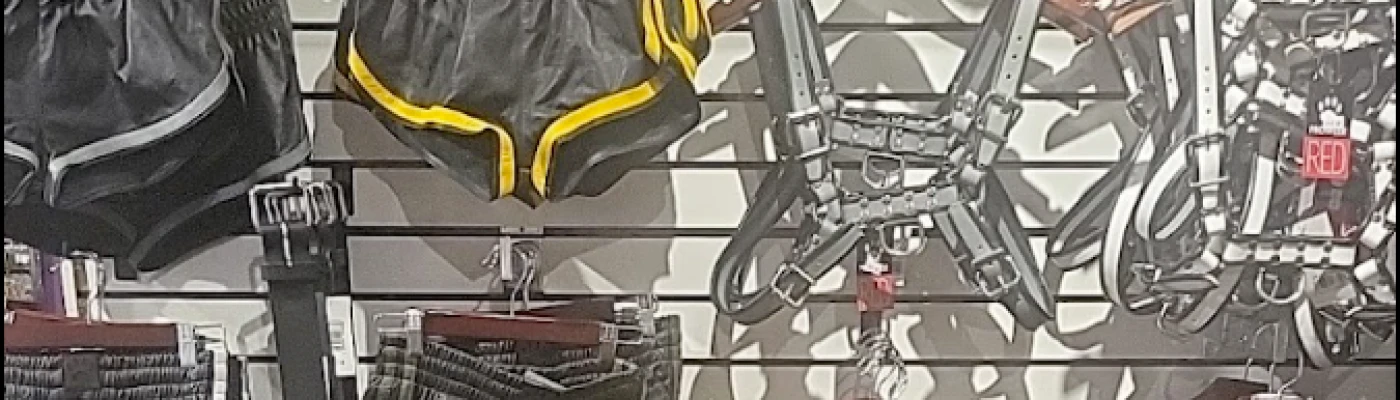 Love Connection — Shopping in Los Angeles