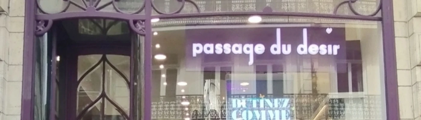 Passage du Désir, l'anti sex shop — Shopping in Lille