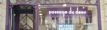 Cover image for Passage du Désir, l'anti sex shop