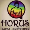 Horus Sauna logo