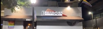 Cover image for Bulldogs