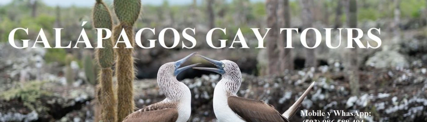 Galápagos GAY Tours — Things to do in Quito