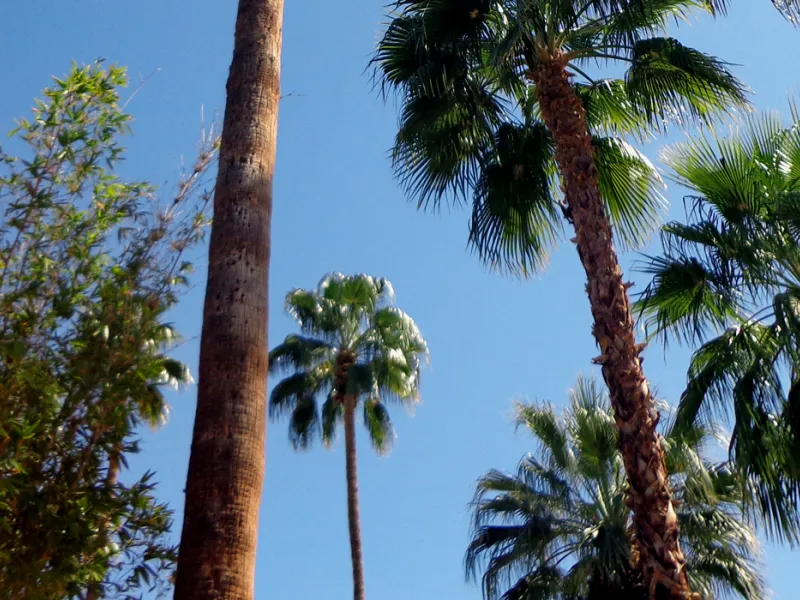 El Mirasol Villas — Hotels in Palm Springs