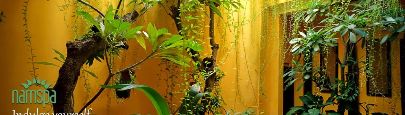 NẤM SPA - The First True Spa for Men in Sai Gon — Wellness in Ho Chi Minh