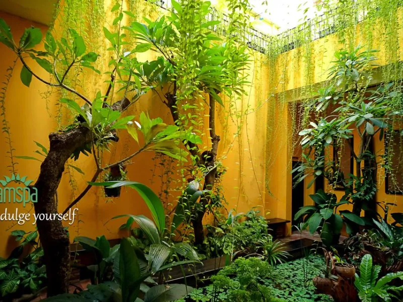 NẤM SPA - The First True Spa for Men in Sai Gon — Wellness in Ho Chi Minh