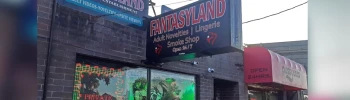 Cover image for Fantasyland