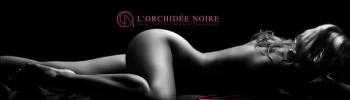 Cover image for L'Orchidée Noire