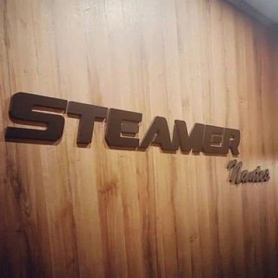 Steamer-Nantes logo