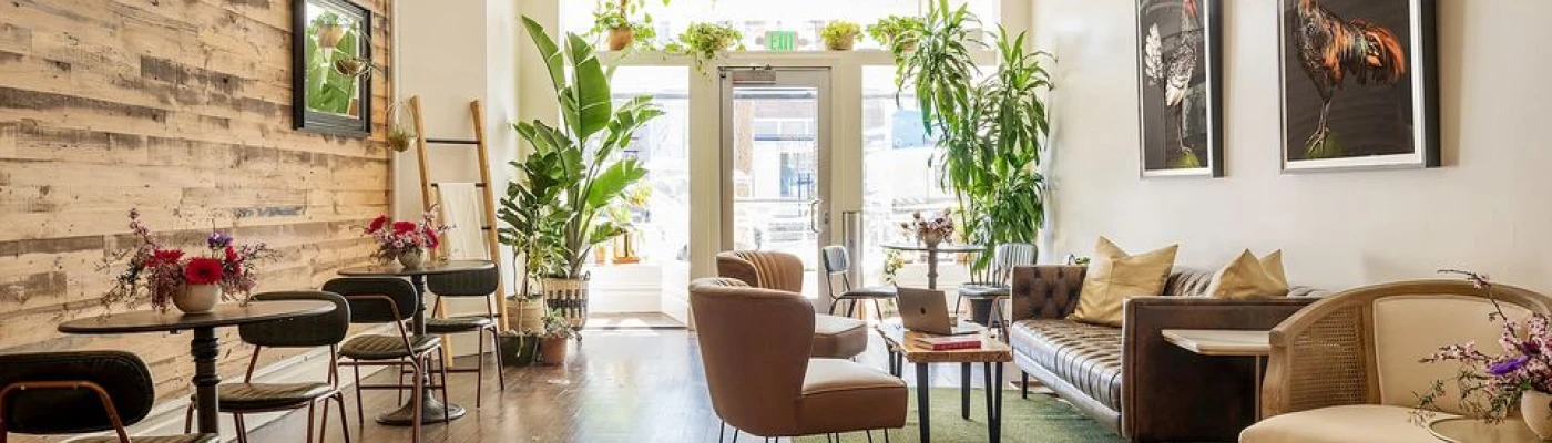 The Academy SF — Organizations in San Francisco