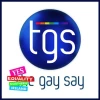 The Gay Say logo