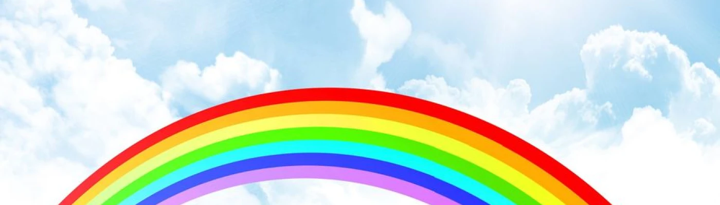 The Gay Say — Organizations in Belfast
