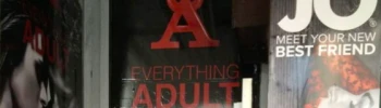 Cover image for Everything Adult Haymarket