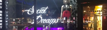 Cover image for Sex Shop DIRTY Secret Dreams