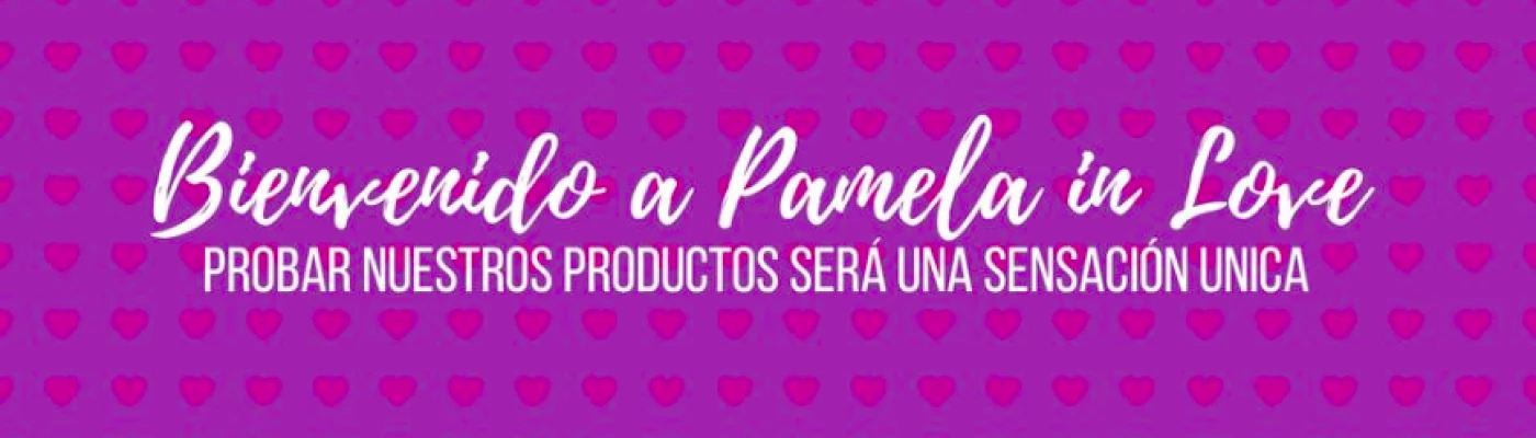 Sex Shop Santiago Pamela In Love — Shopping in Santiago