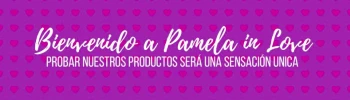 Cover image for Sex Shop Santiago Pamela In Love