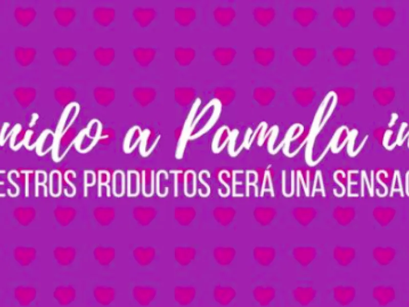 Sex Shop Santiago Pamela In Love — Shopping in Santiago