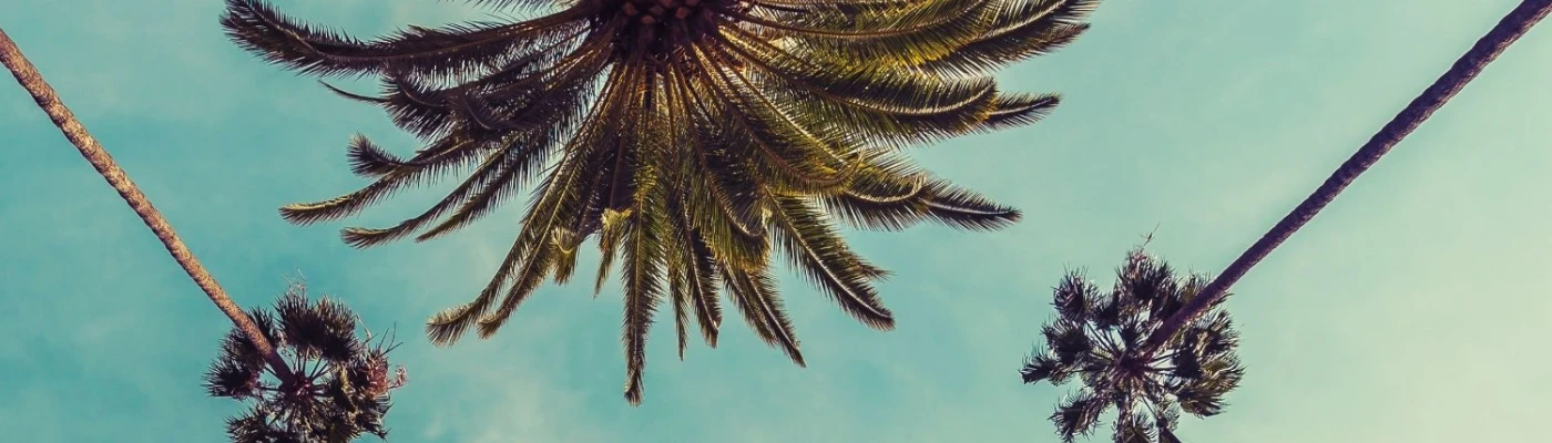 Miami Beach Gay Pride, Inc — Organizations in Miami