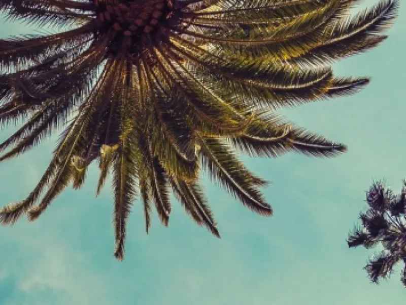 Miami Beach Gay Pride, Inc — Organizations in Miami