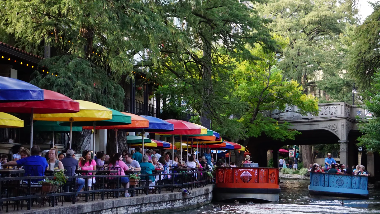 Gay Organizations in San Antonio — cover photo