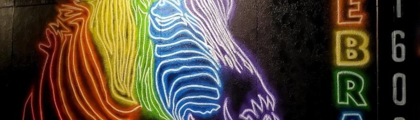 Zebraz — Shopping in San Antonio