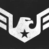 Dallas Eagle logo