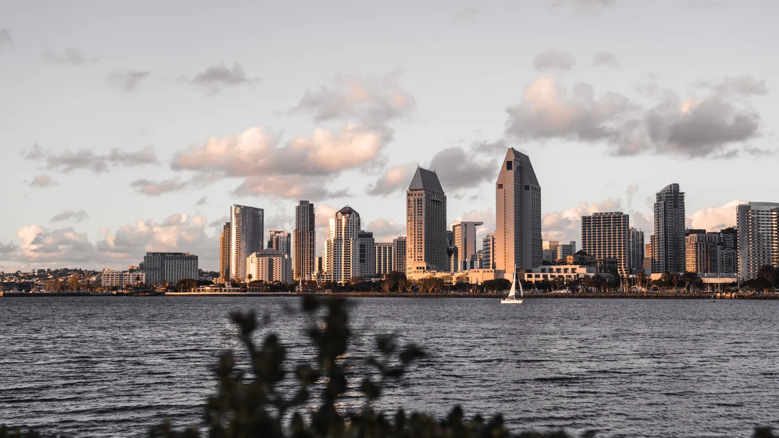 Gay Things to do in San Diego — cover photo