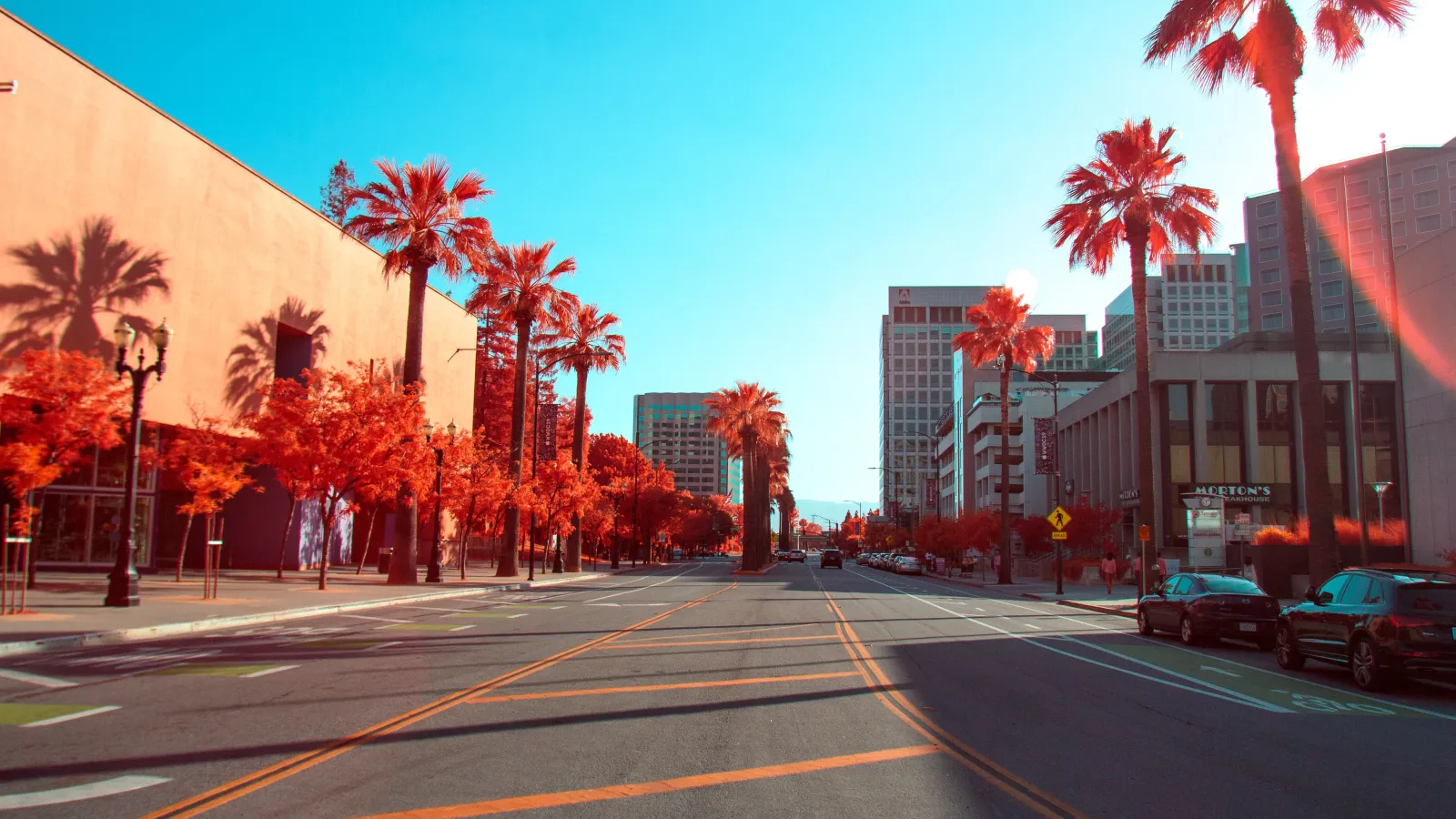 Gay Bars & Clubs in San Jose — cover photo