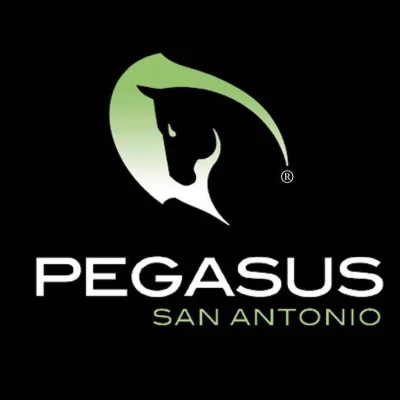 Pegasus logo