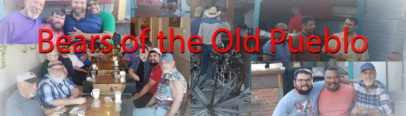 Bears of the Old Pueblo — Organizations in Tucson