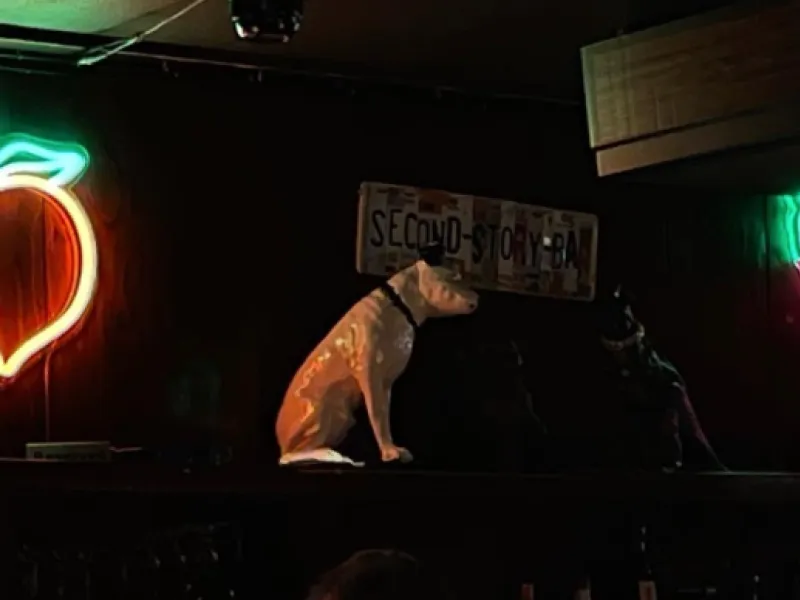 Second Story Bar — Bars & Clubs in Chicago