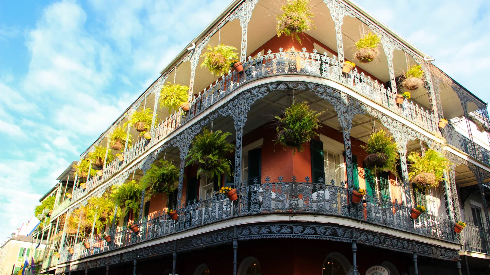 Gay Things to do in New Orleans — cover photo