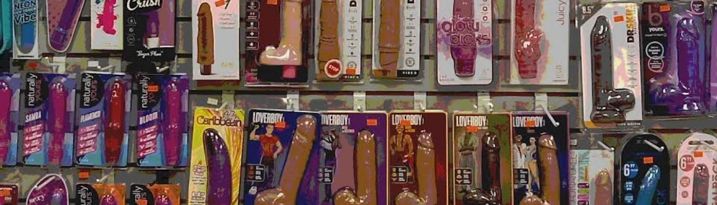 5th Wheel Adult Bookstore (Michigan Ave) — Shopping in Detroit