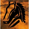 Leather Stallion Saloon logo