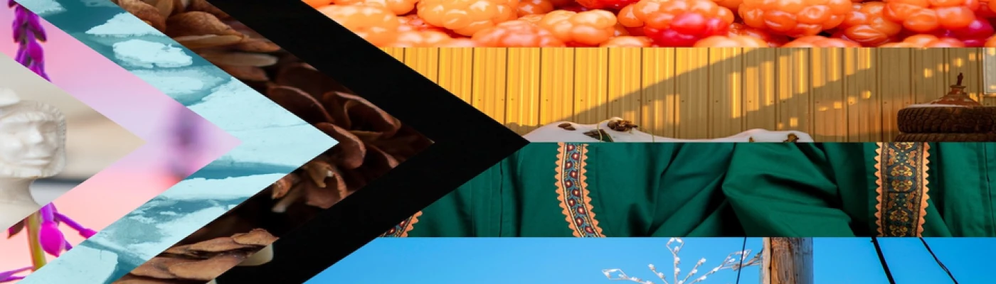 Choosing Our Roots — Organizations in Anchorage