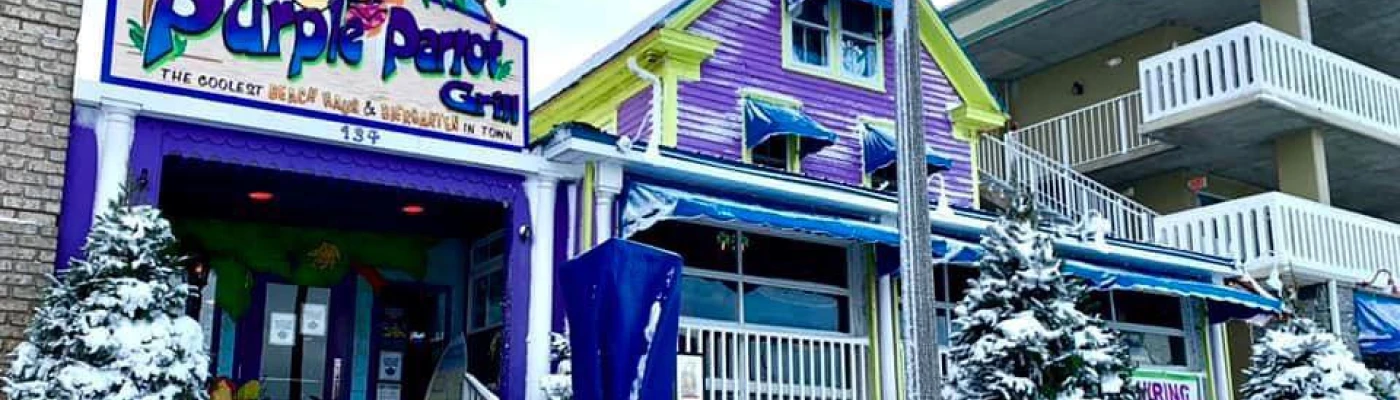 Purple Parrot Grill Beach Haus & Biergarten — Restaurants & Cafés in Rehoboth Beach