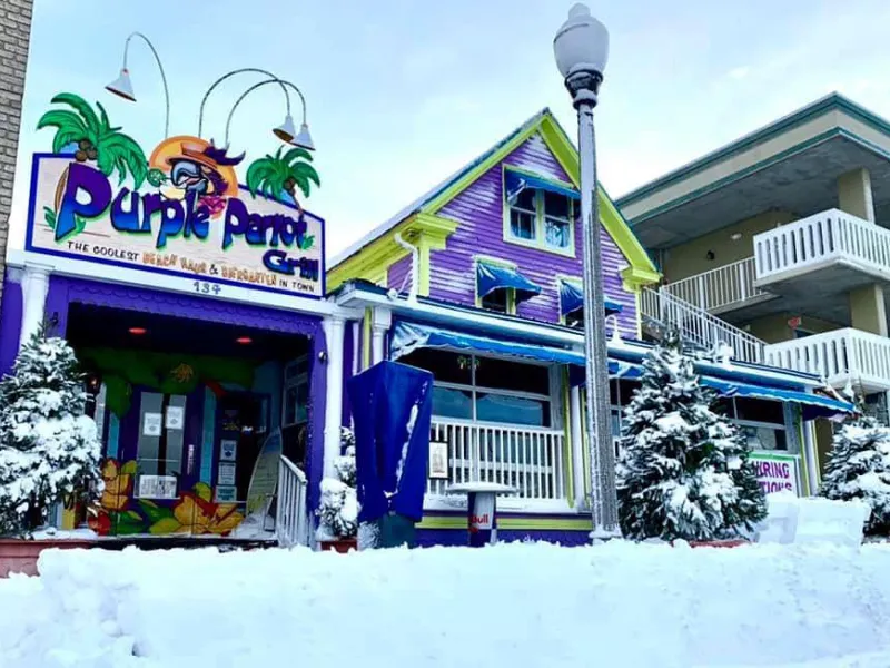 Purple Parrot Grill Beach Haus & Biergarten — Restaurants & Cafés in Rehoboth Beach
