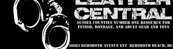 Cover image for Leather Central