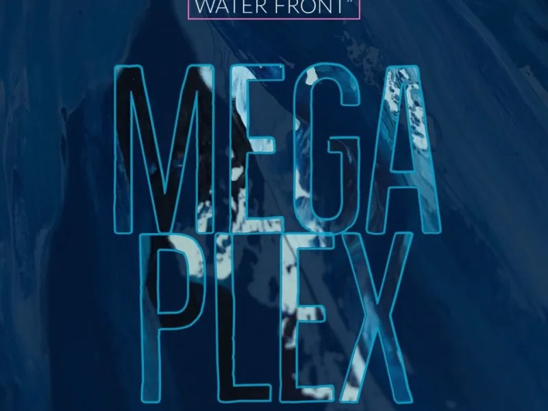 The Mega-Plex — Saunas in Providence