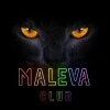 Maleva Club Disco Bar LGBT logo