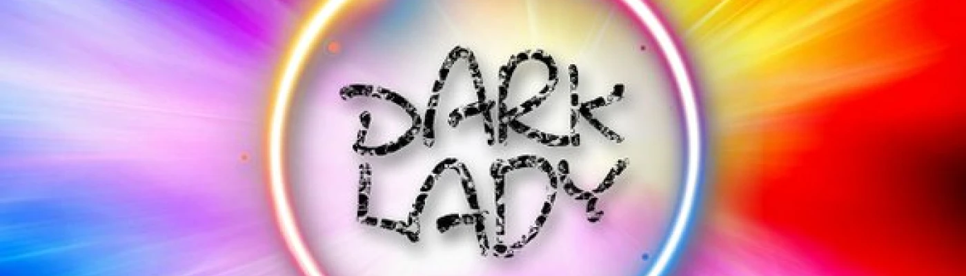 The Dark Lady — Bars & Clubs in Providence