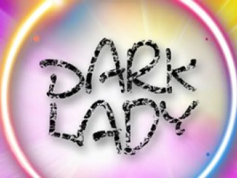 The Dark Lady — Bars & Clubs in Providence