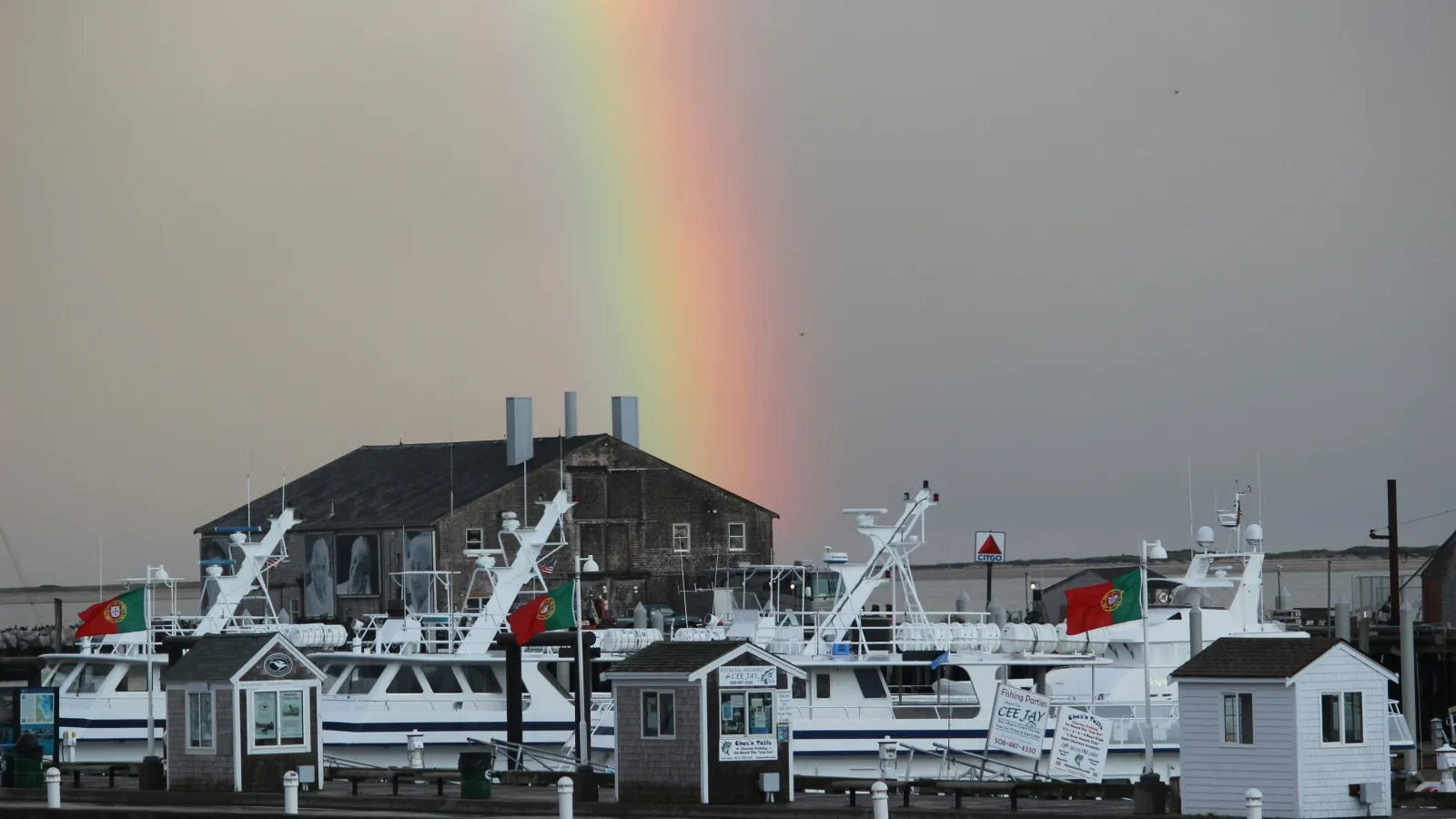 Gay Hotels in Provincetown — cover photo