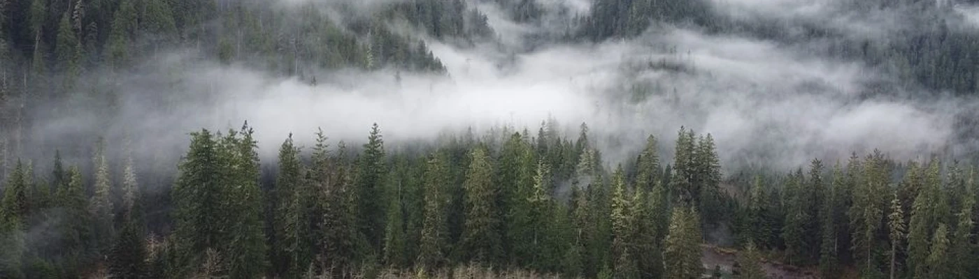 Triangle Recreation Camp — Things to do in Seattle