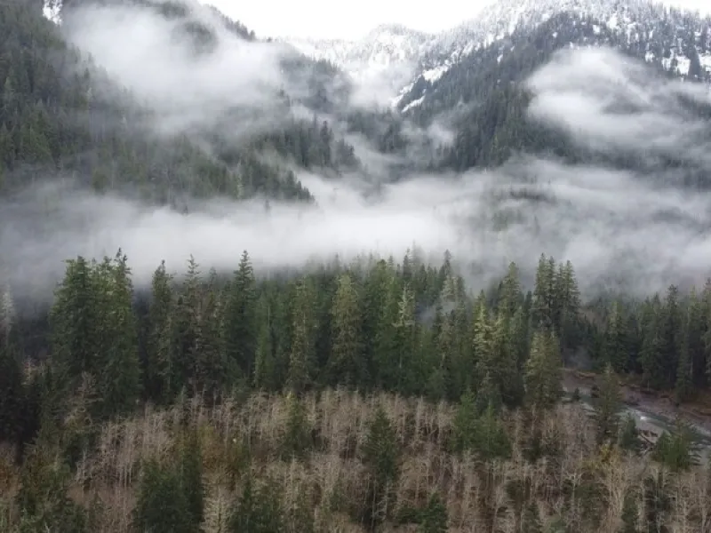 Triangle Recreation Camp — Things to do in Seattle