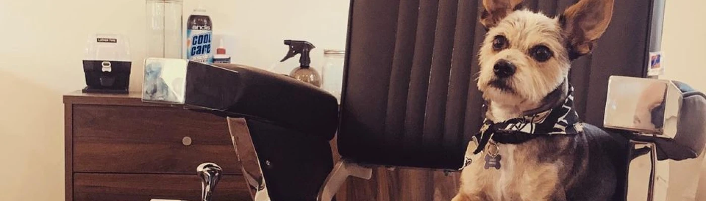 Bandit Hair Company — Wellness in New Orleans